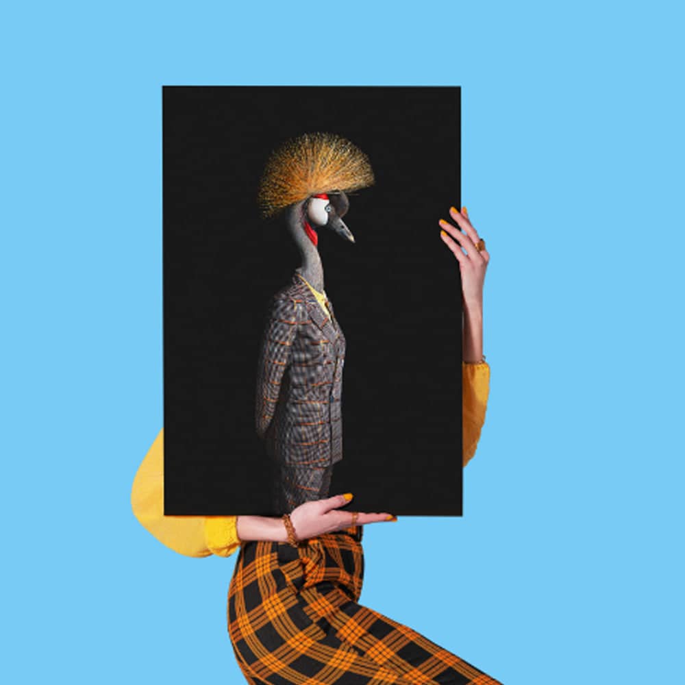 Affordable Art Fair Melbourne 2023, 31 August to 03 September 2023